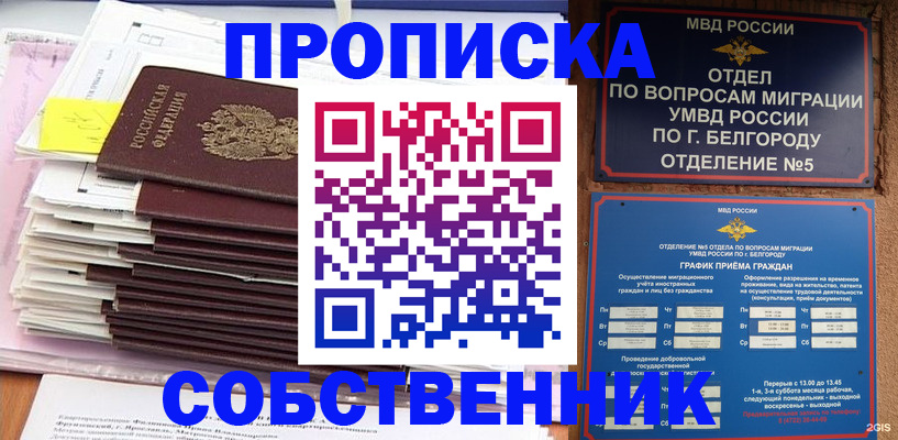 прописка законно в Чистополье